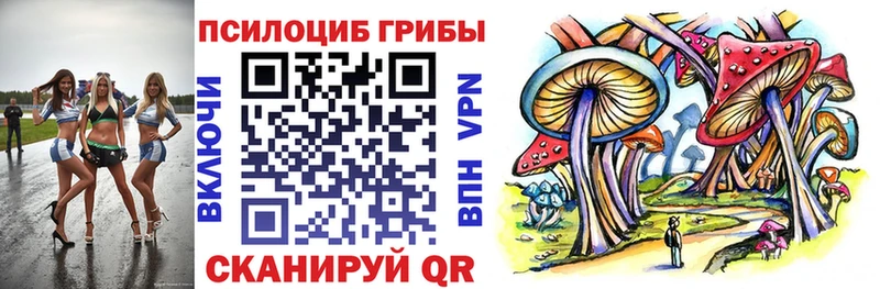 Галлюциногенные грибы Psilocybine cubensis  гидра сайт  Луза 